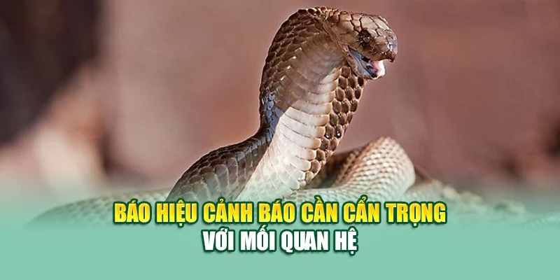 Mơ Thấy Rắn – Điềm Báo Ẩn Giấu Sau Linh Vật Huyền Bí 3 Báo hiệu cảnh báo cần cẩn trọng với mối quan hệ