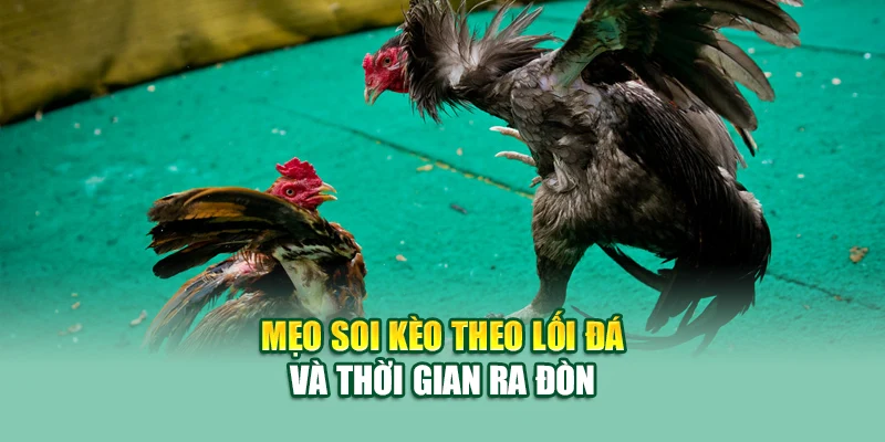 Đá Gà Cựa Sắt – Bộ Môn Tốc Chiến Hấp Dẫn Tại 79King 3 Mẹo soi kèo theo lối đá và thời gian ra đòn
