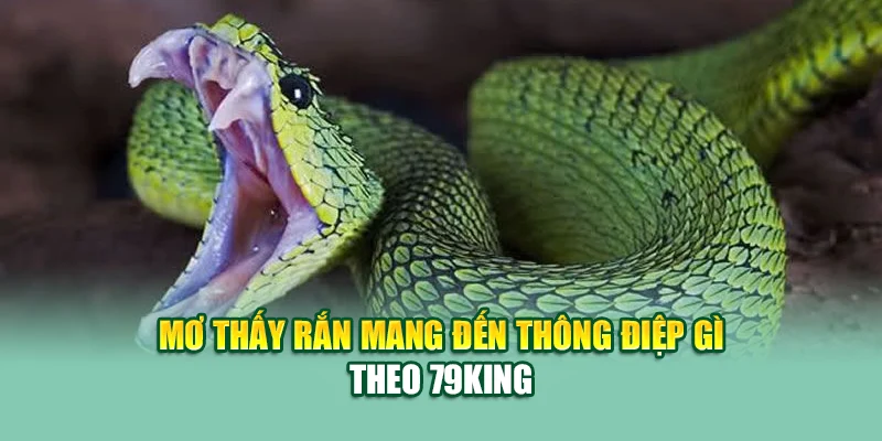 Mơ Thấy Rắn – Điềm Báo Ẩn Giấu Sau Linh Vật Huyền Bí 1 Mơ thấy rắn mang đến thông điệp gì theo 79King